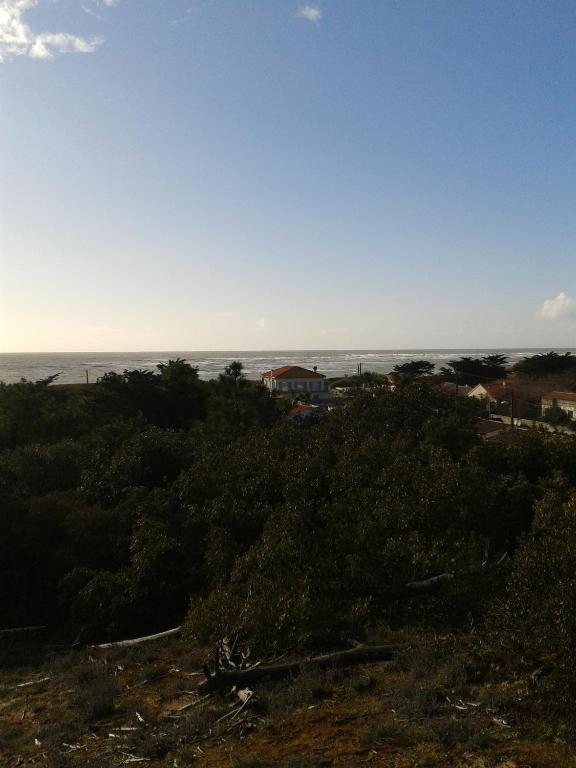 Hotel De La Petite Plage Saint-Georges-d'Oleron Buitenkant foto